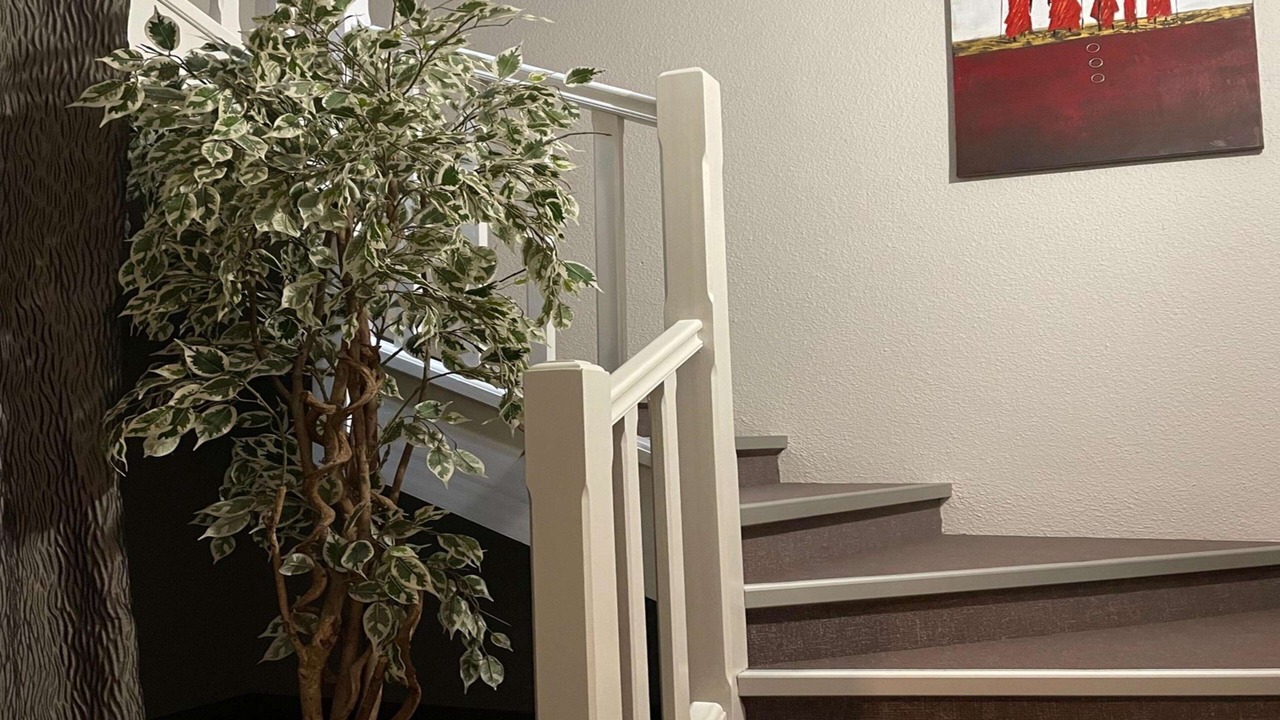 Photo of Others in Limoges