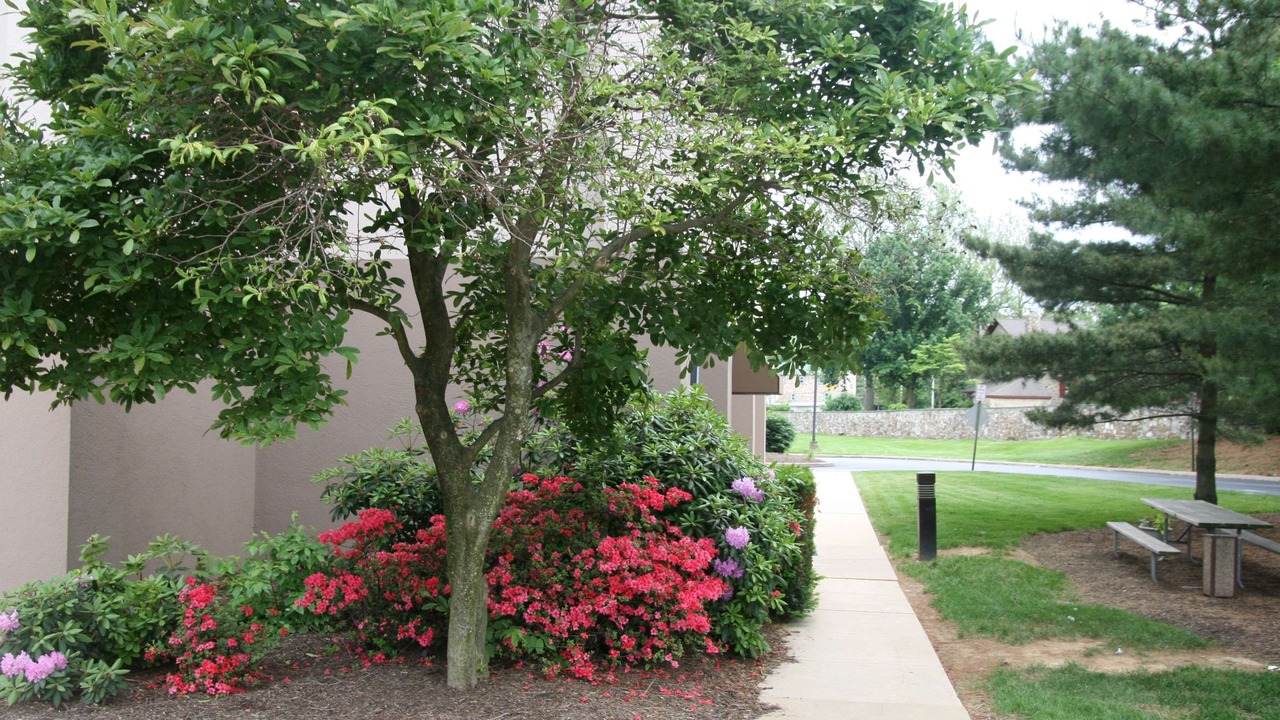 Photo of Outdoor in Exton