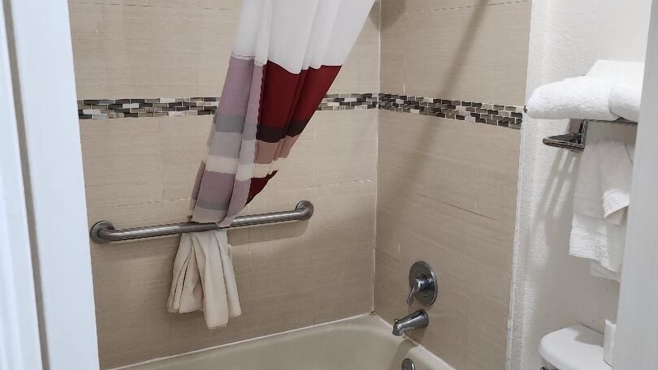 Photo of Others in Forest