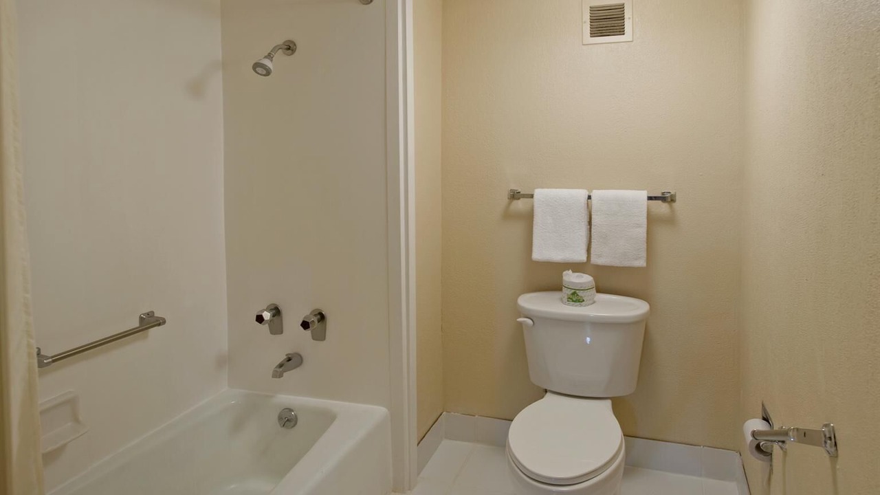 Photo of Others in Forest