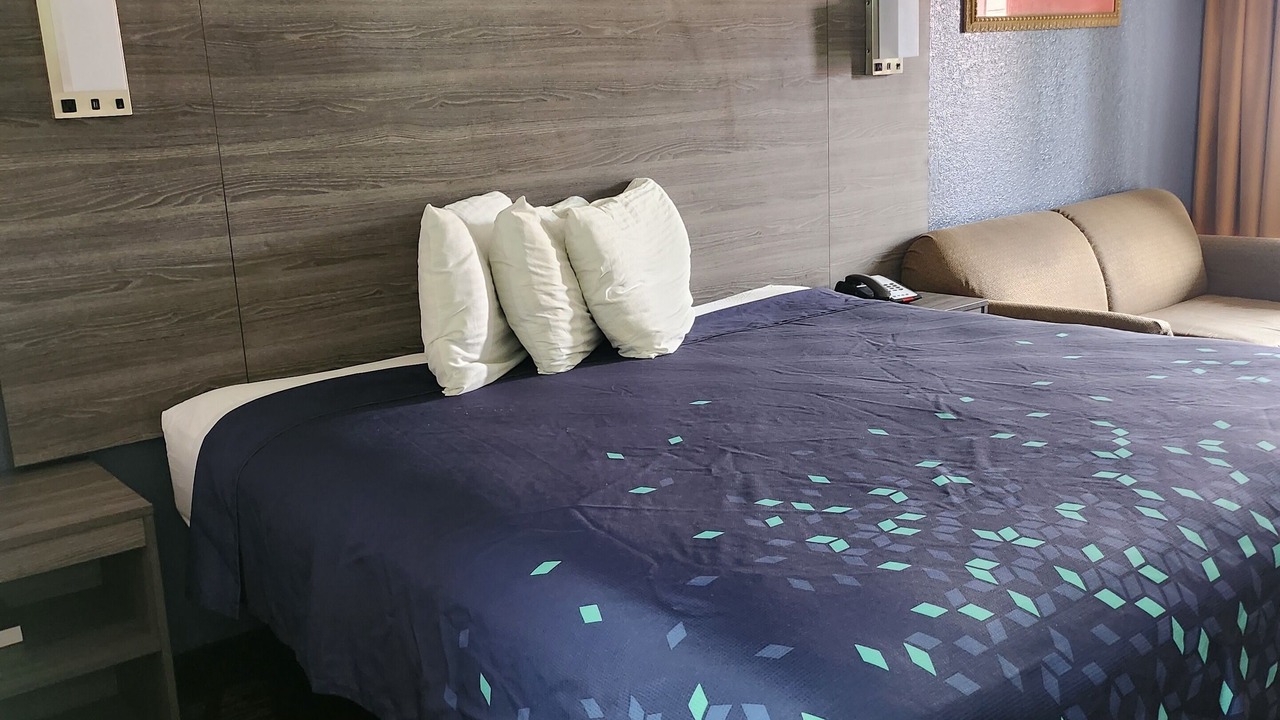 Photo of Bedroom in Forest