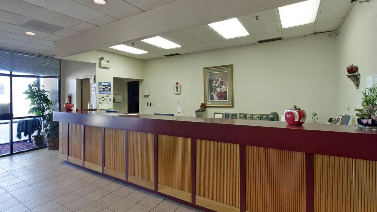 Photo of Others in Forest