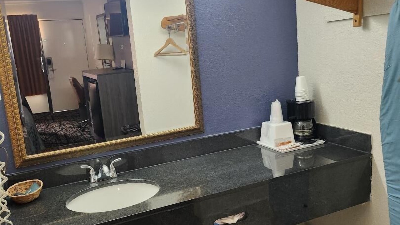 Photo of Others in Forest