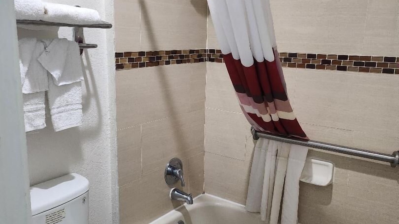 Photo of Others in Forest