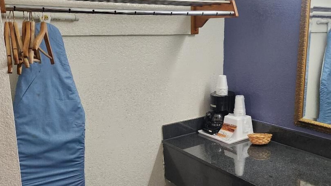 Photo of Others in Forest