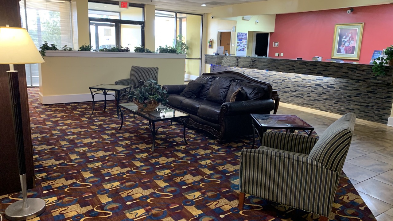 Photo of Others in Forest