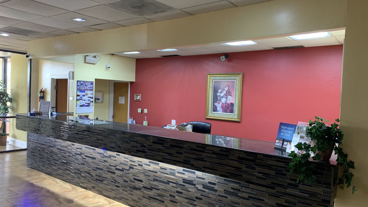 Photo of Others in Forest