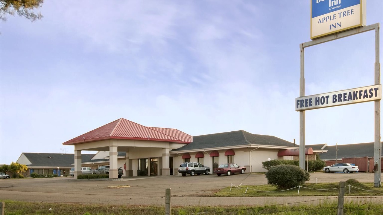 Photo of Outdoor in Forest