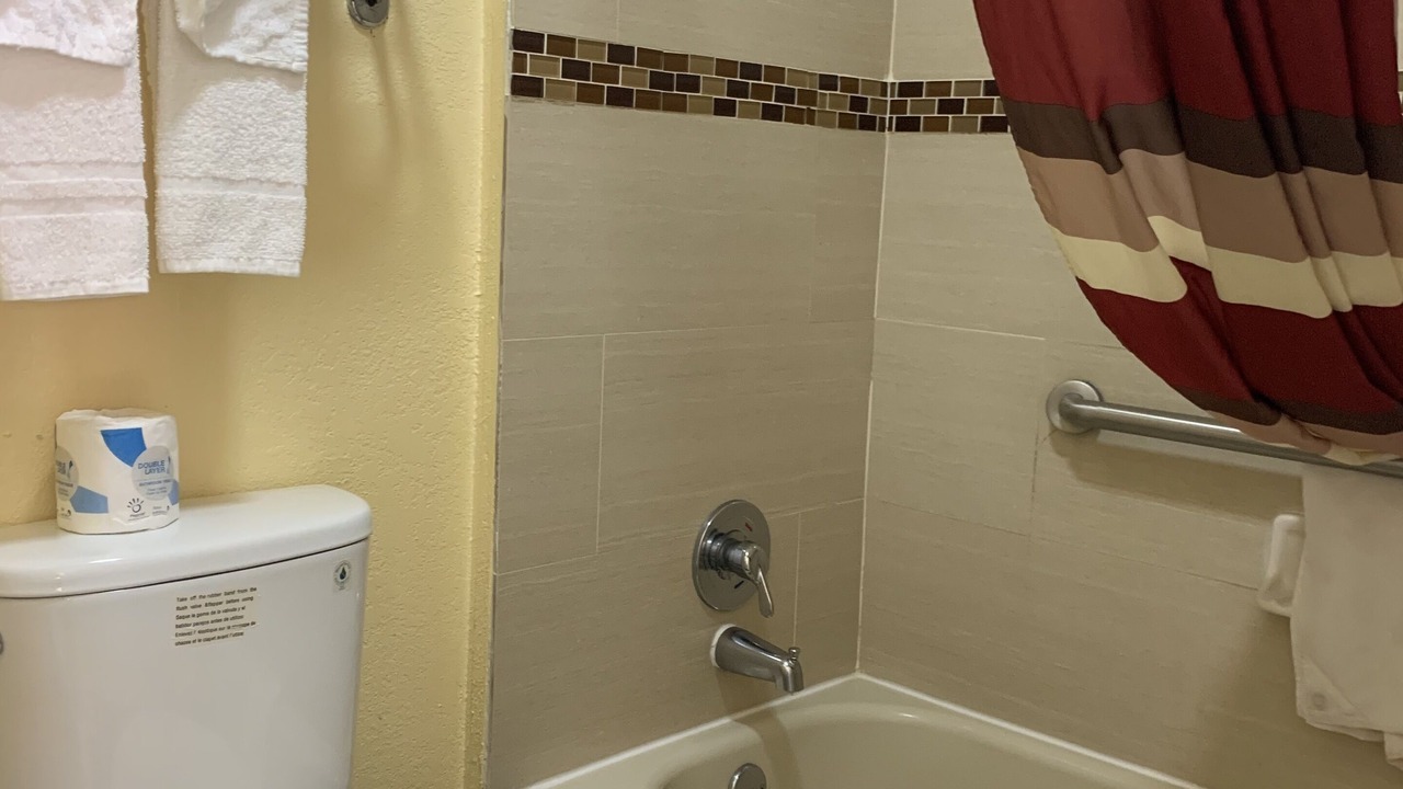 Photo of Bathroom in Forest