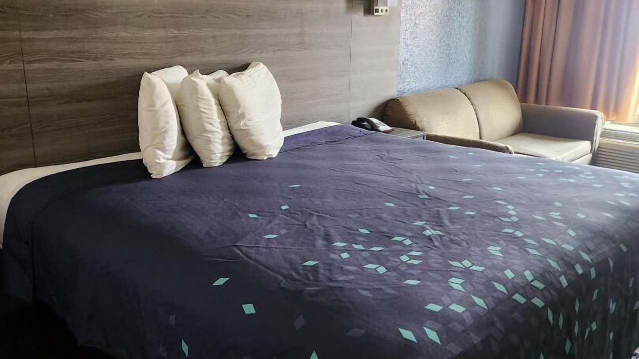 Photo of Others in Forest