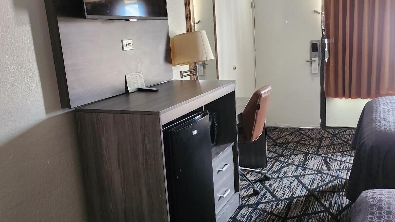 Photo of Others in Forest