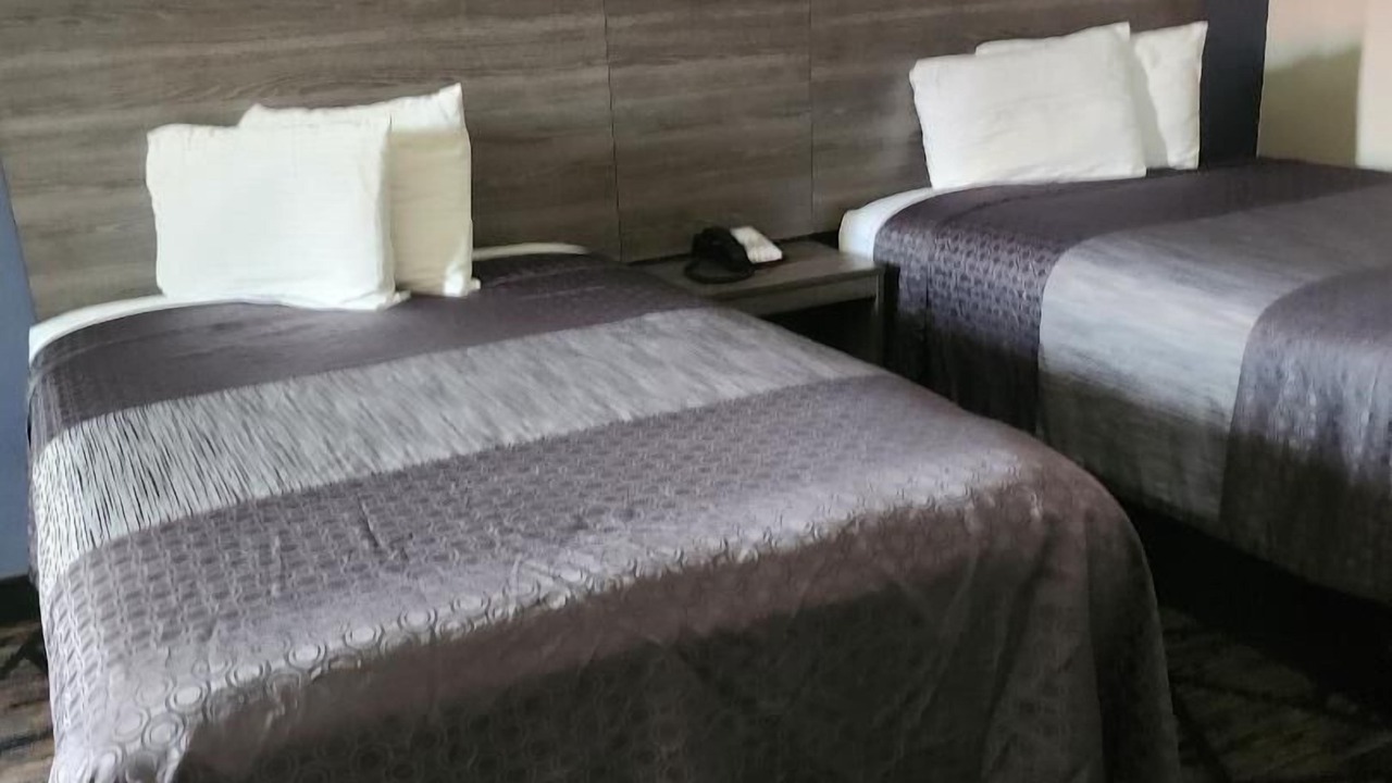 Photo of Bedroom in Forest