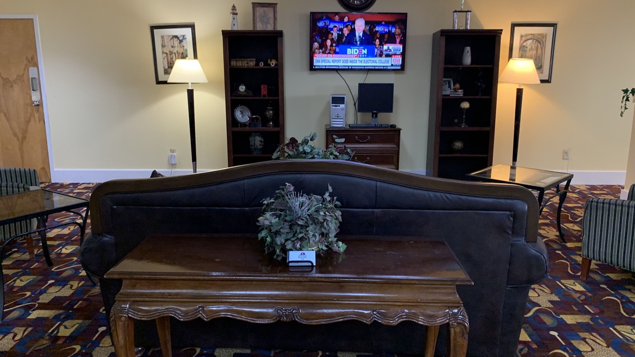 Photo of Others in Forest