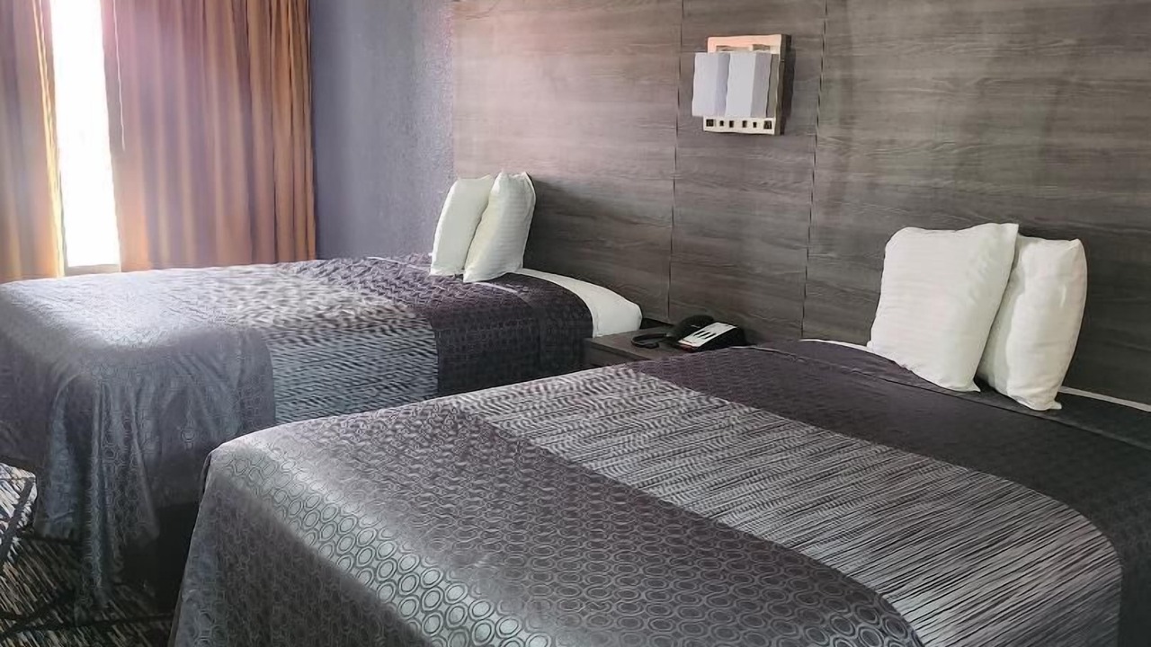 Photo of Bedroom in Forest