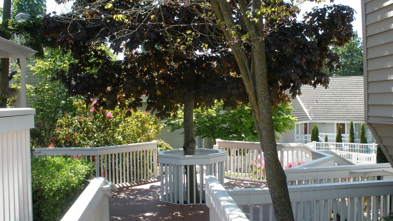 Photo of Outdoor in Bridle Trails