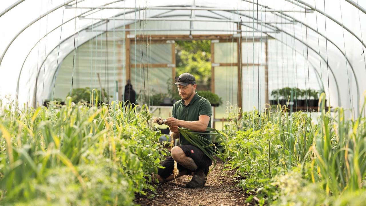 Photo of Outdoor in Bishopstrow