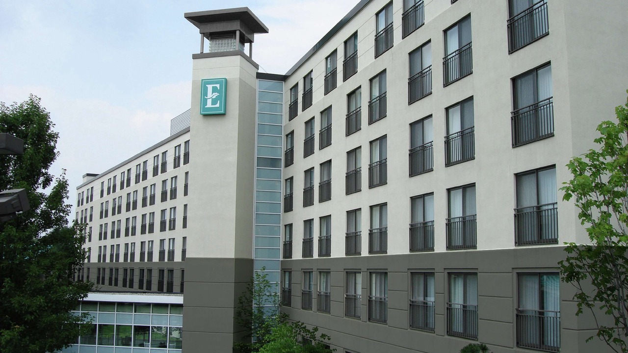 Photo of Outdoor in Marlborough