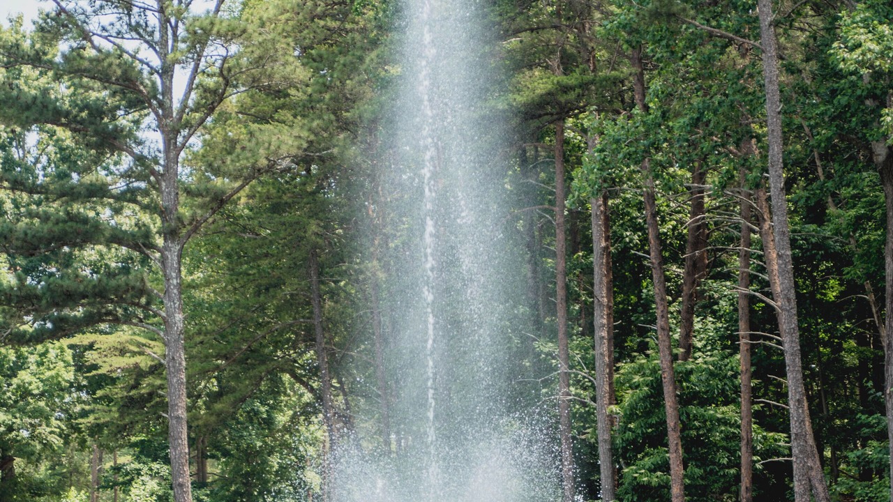 Photo of Outdoor in Buford