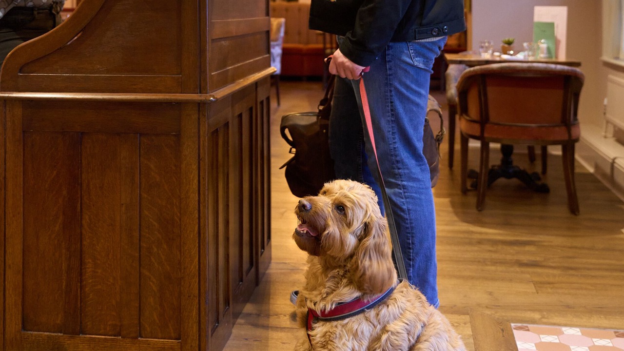 Photo of Others in Dorking