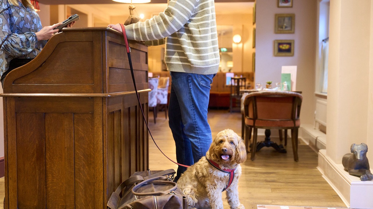 Photo of Others in Dorking