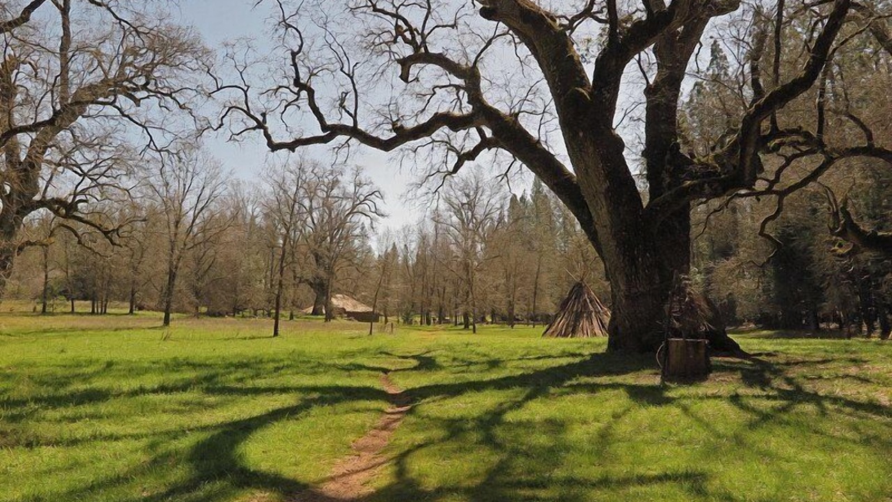 Photo of Others in Jackson