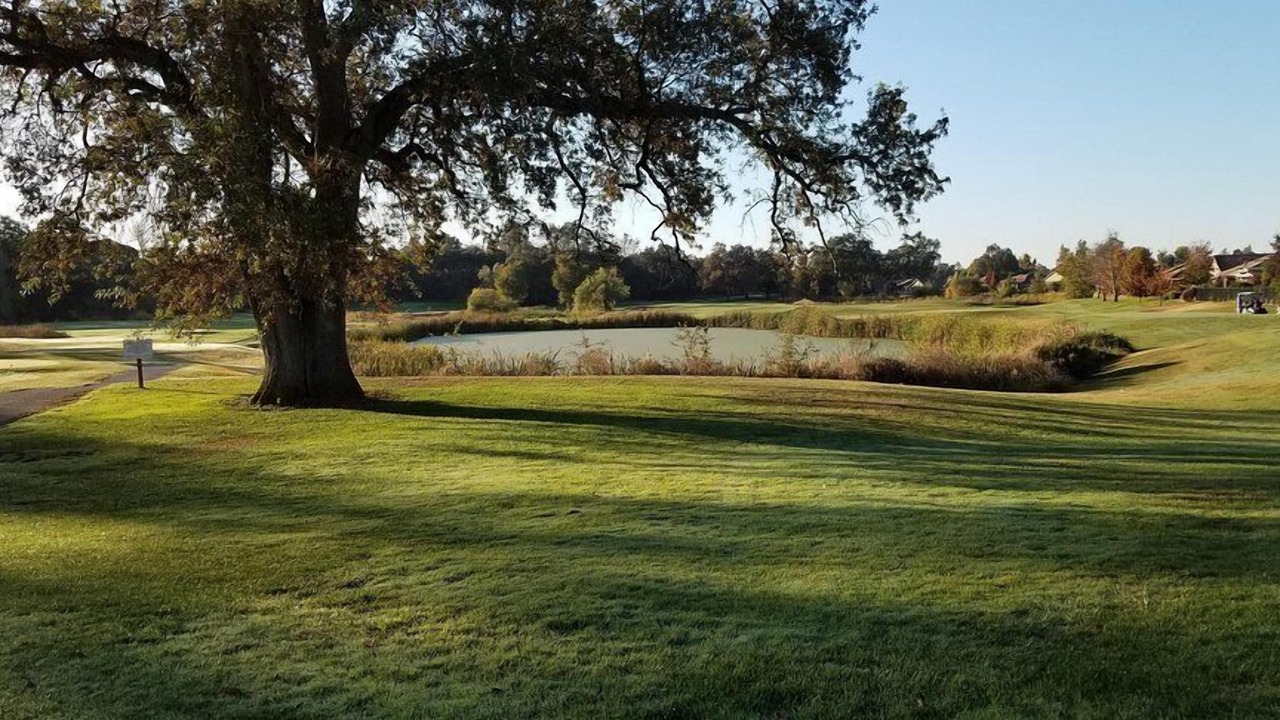 Photo of Others in Jackson