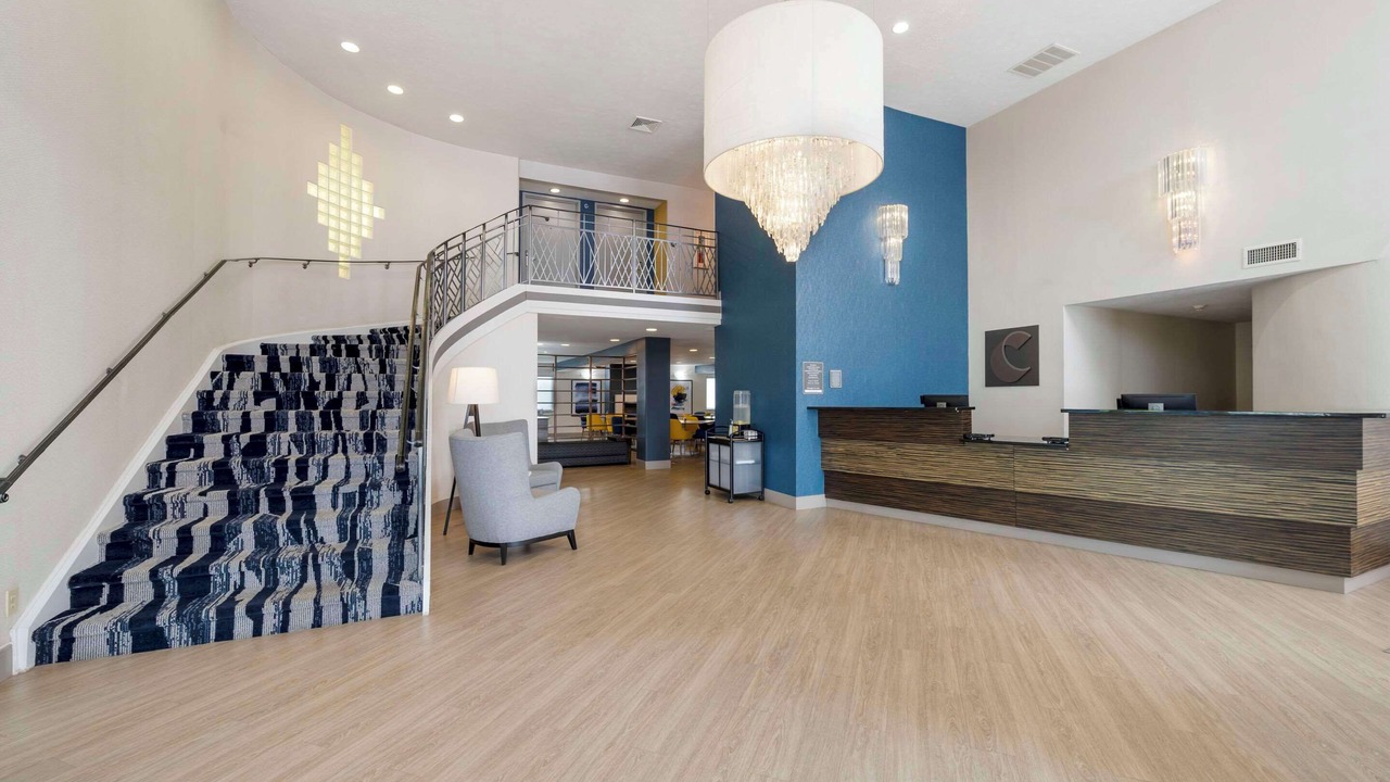 Photo of Others in Edinburgh