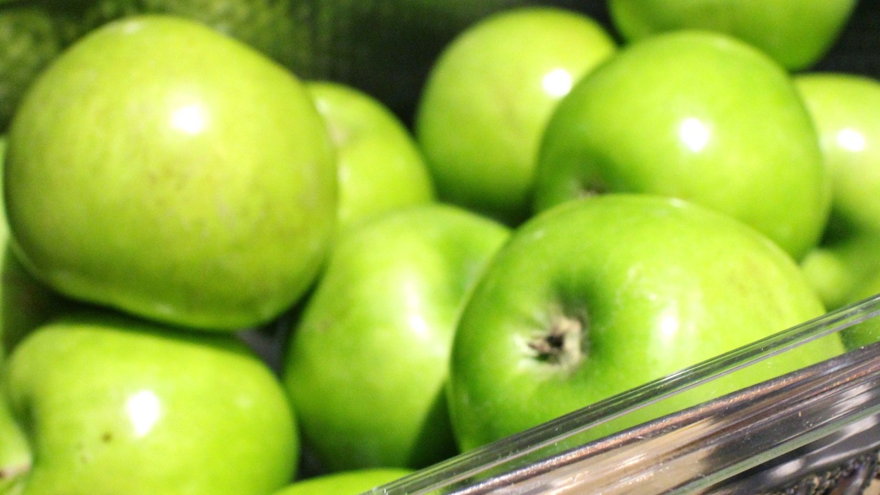 Photo of Others in Queens