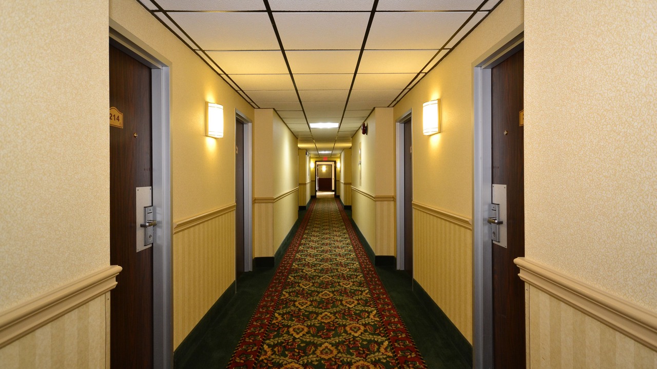 Photo of Others in Saugerties