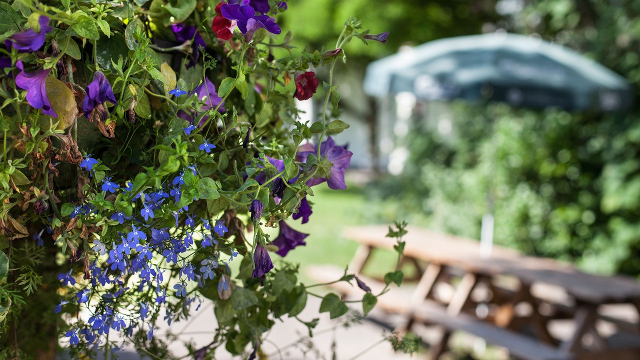 Photo of Others in Maidenbower