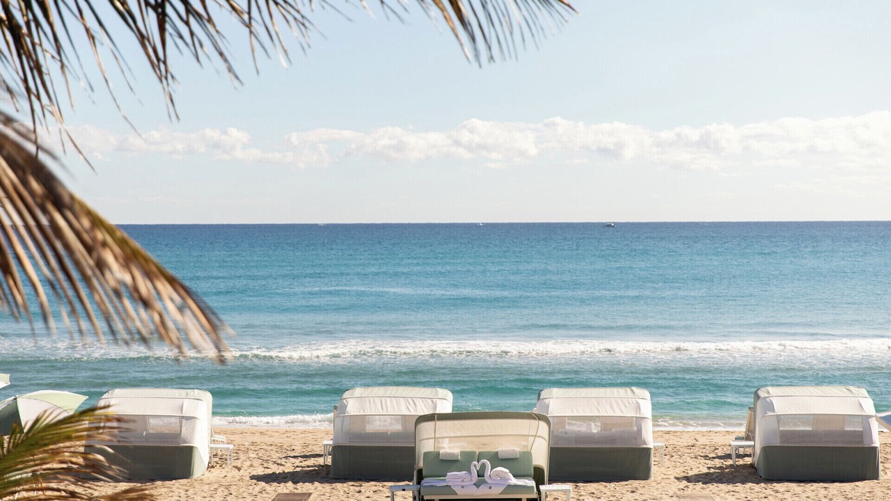 Photo of Others in Palm Beach