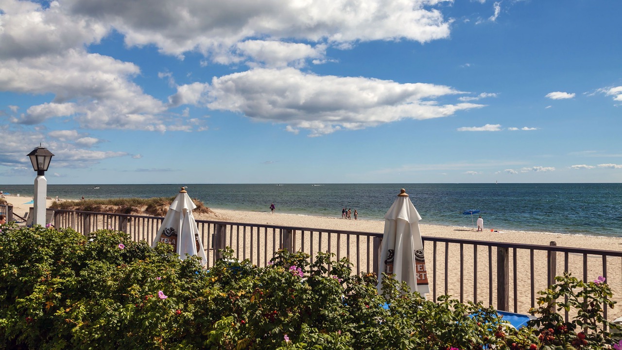 Photo of Others in Bass River