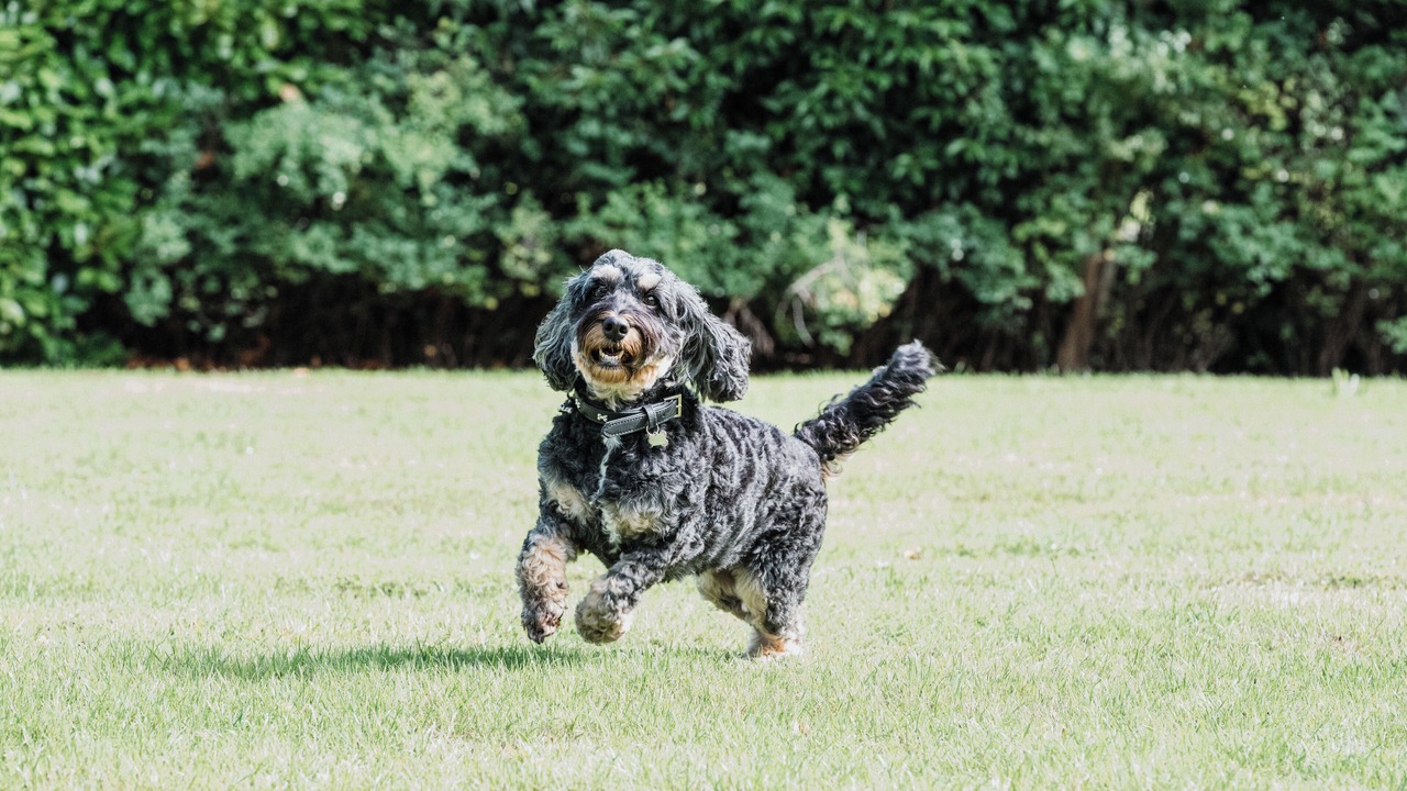 Photo of Others in Basingstoke