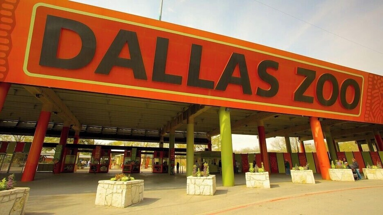 Photo of Others in Terrell