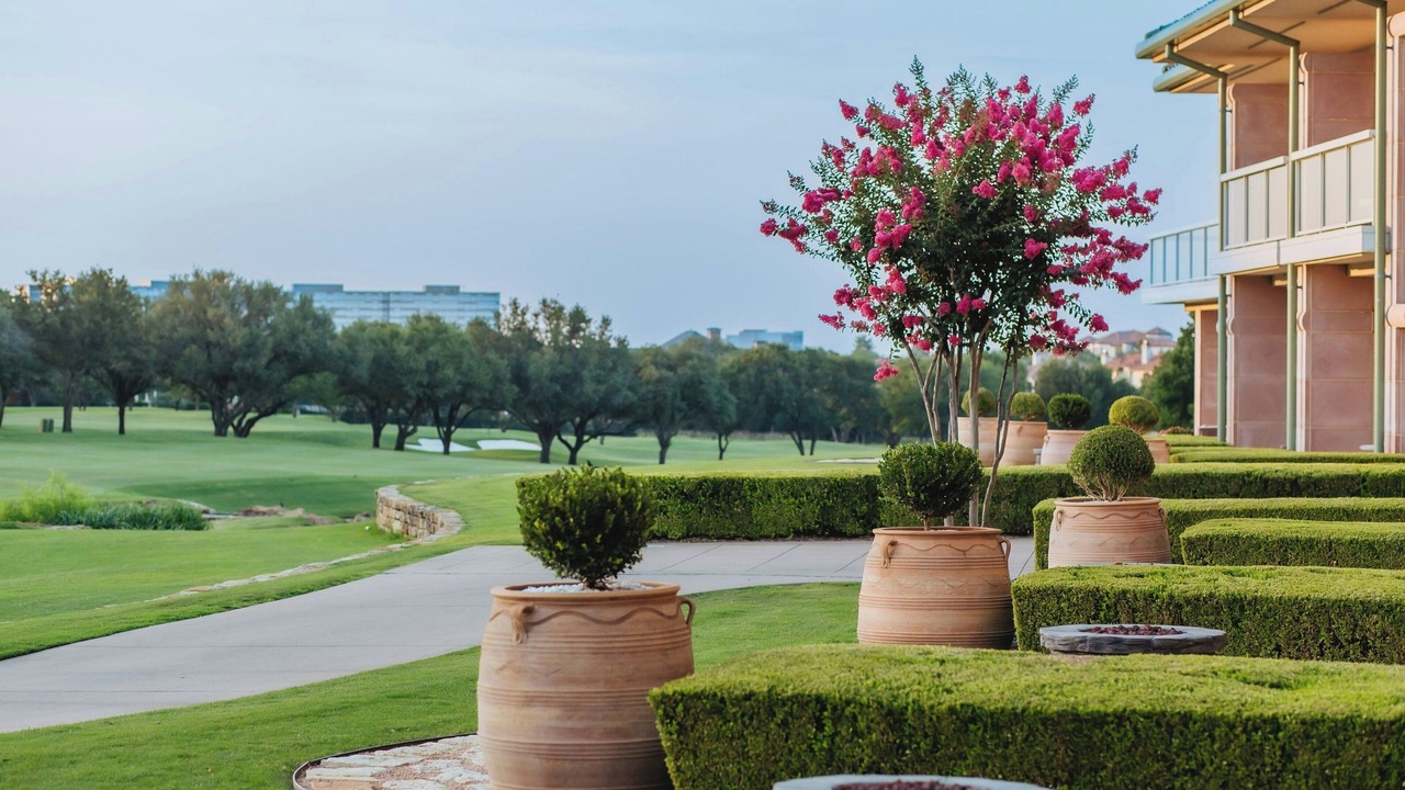 Photo of Others in Las Colinas