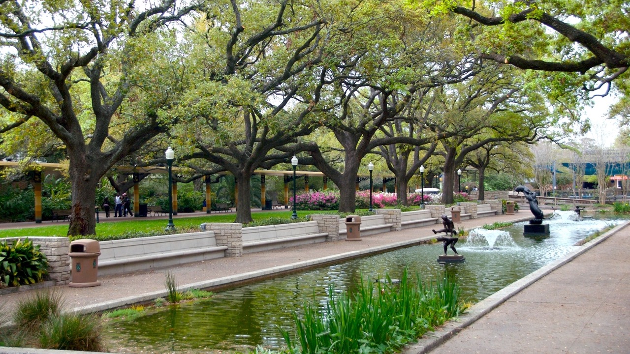 Photo of Others in Downtown Houston