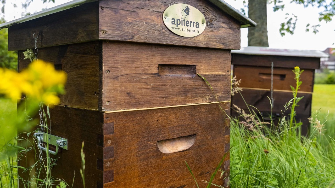 Photo of Others in Woippy