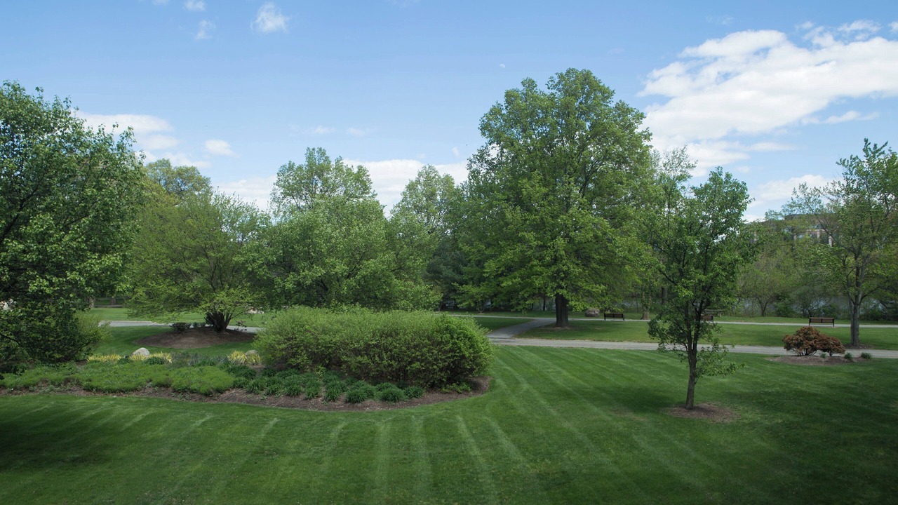 Photo of Others in Parsippany