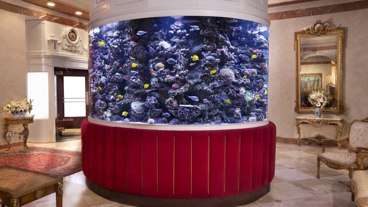 Photo of Others in Turtle Bay