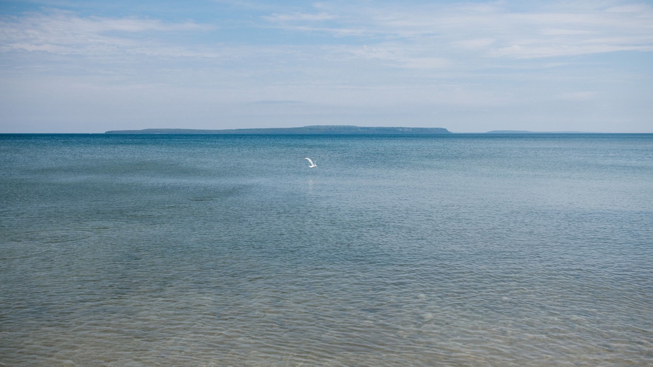 Photo of Others in St Ignace