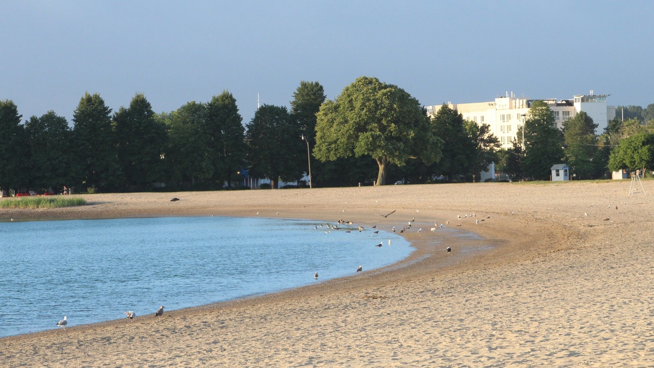 Photo of Outdoor in Dorchester