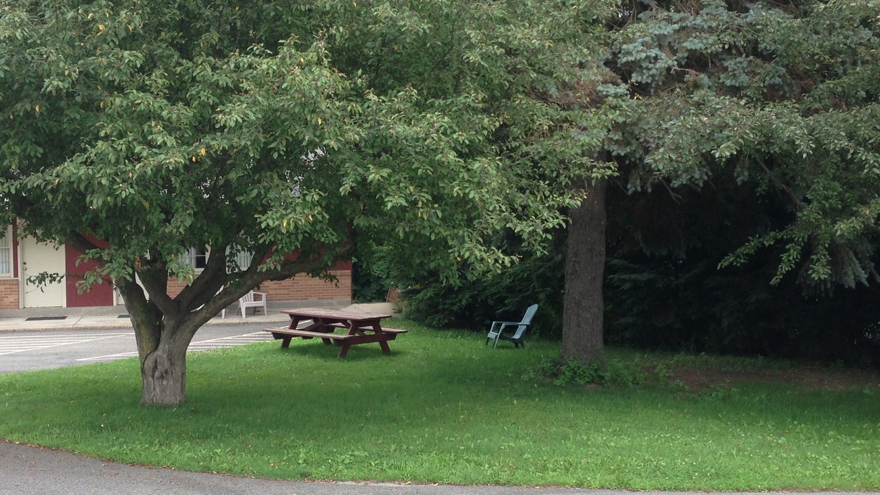 Photo of Outdoor in Pittsfield