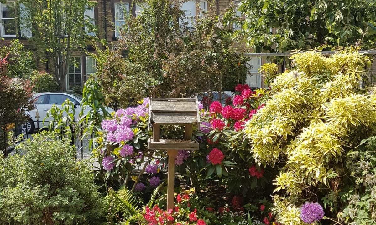 Photo of Outdoor in Harrogate