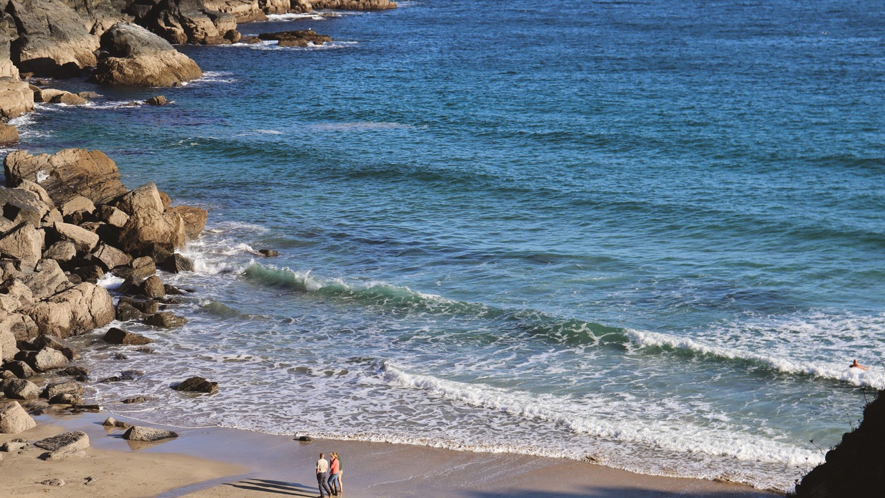 Photo of Others in The Lizard