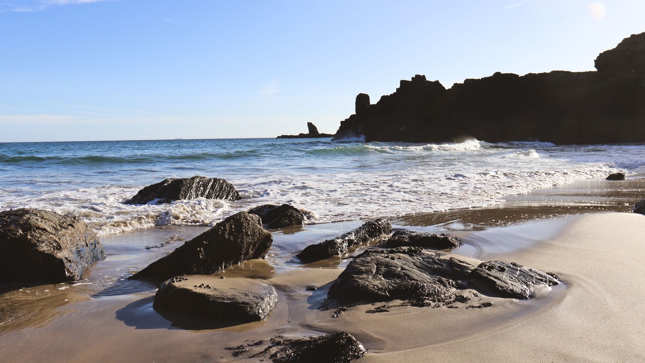 Photo of Others in The Lizard