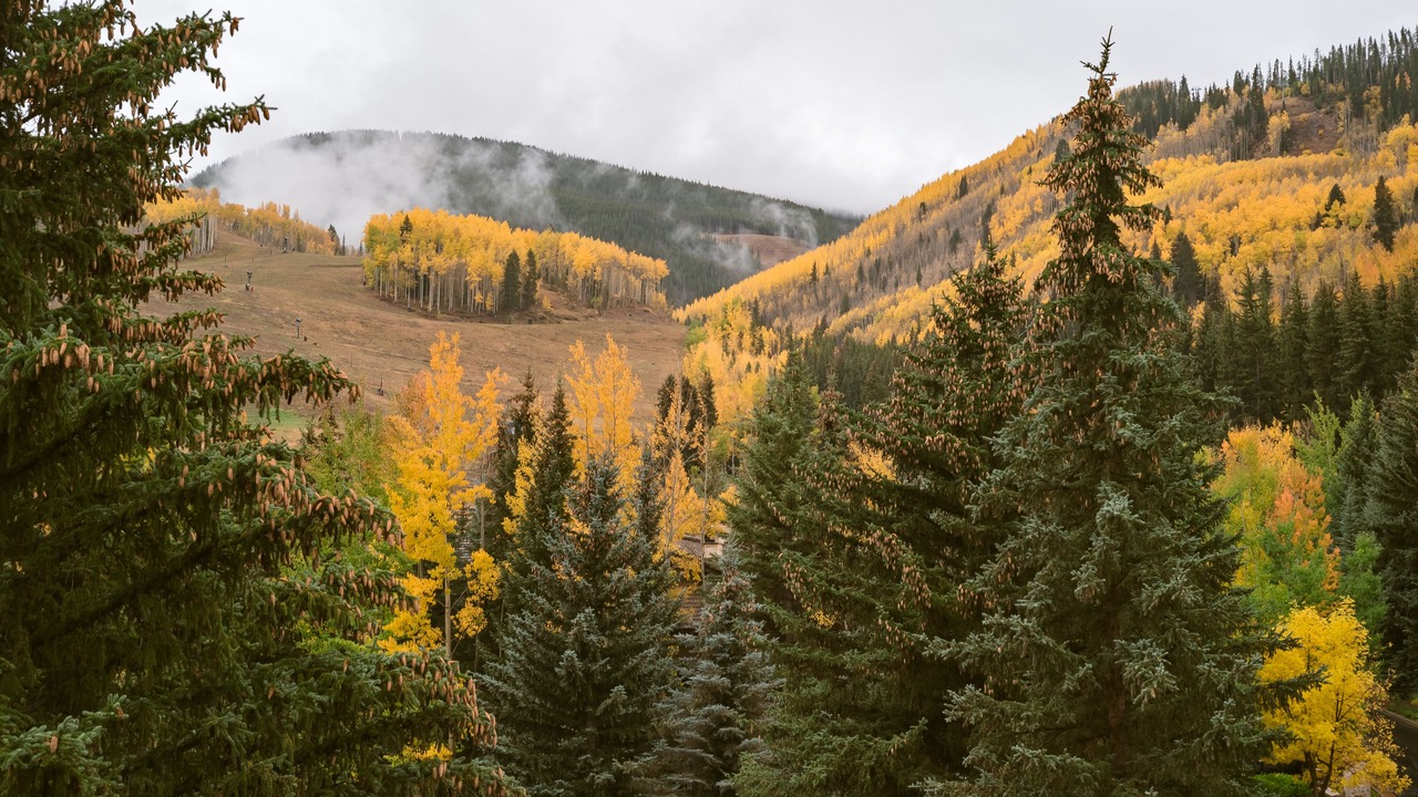 Photo of Others in Vail