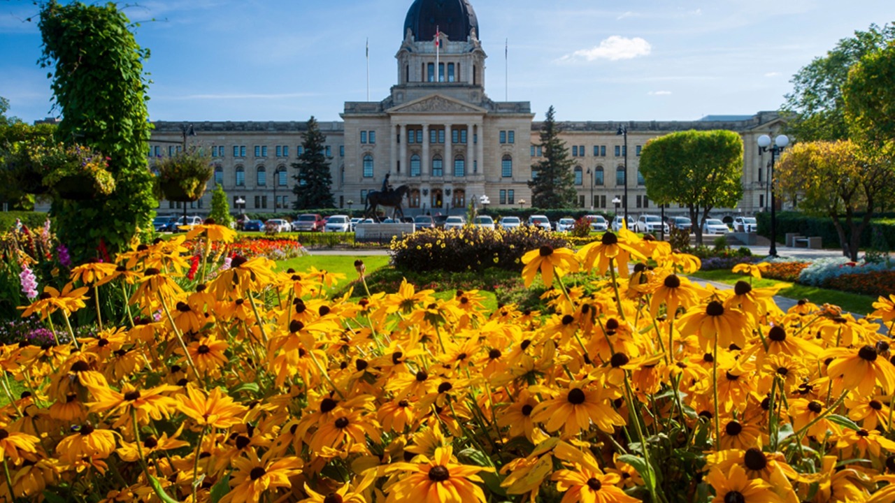Photo of Others in Regina