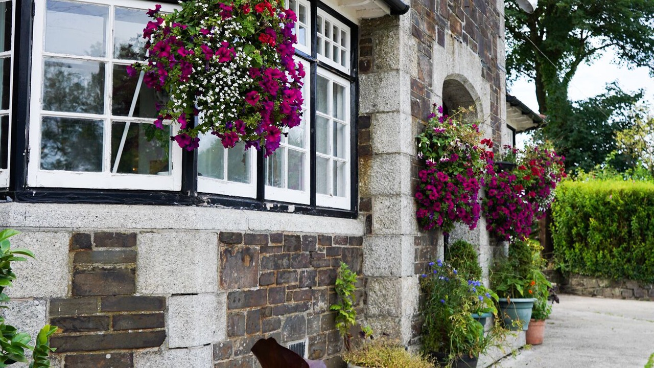 Photo of Outdoor in Bridestowe