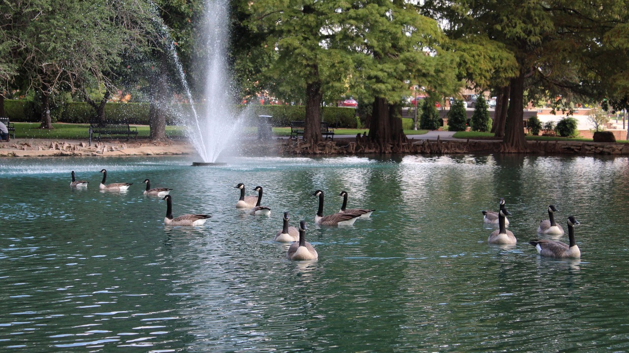 Photo of Outdoor in Stillwater