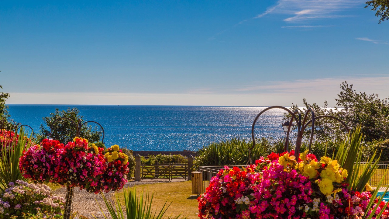 Photo of Others in Dawlish Warren